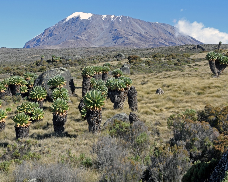 Foto Hans Goger Expedition Kilimanjaro